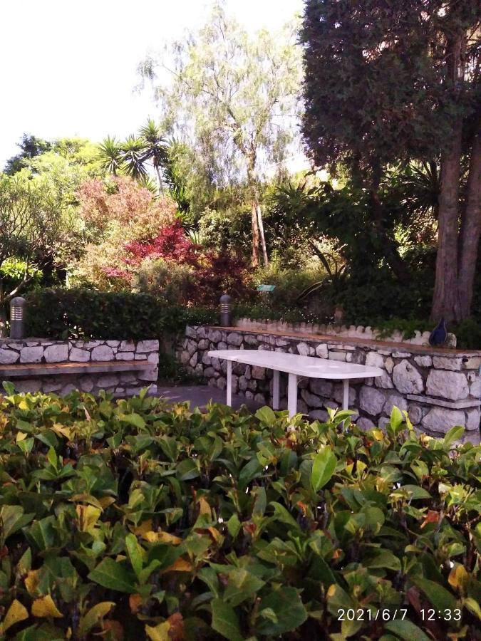Nice- Gairaut - Jardin Prive- Grand F1 Lumineux-piscine Collective Appartement *