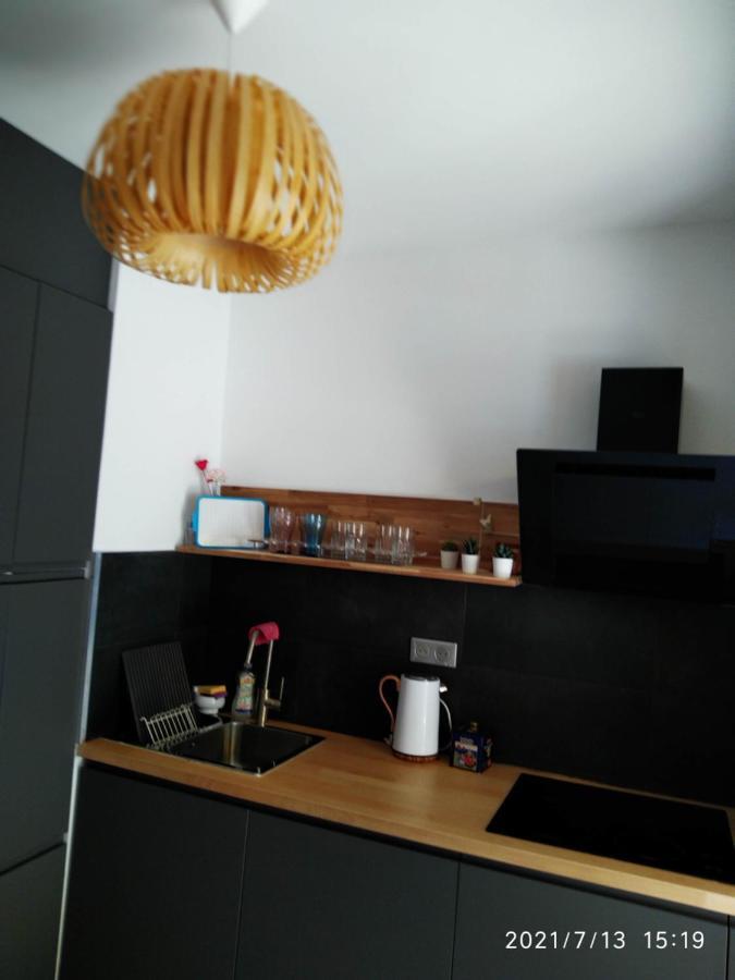 Nice- Gairaut - Jardin Prive- Grand F1 Lumineux-piscine Collective