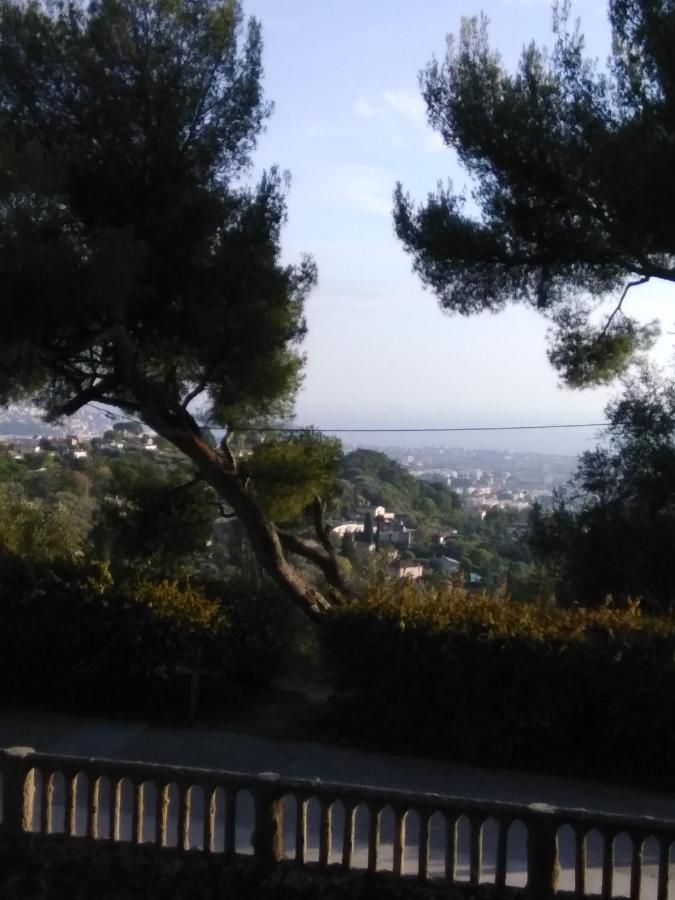 Appartement Nice- Gairaut - Jardin Prive- Grand F1 Lumineux-piscine Collective *
