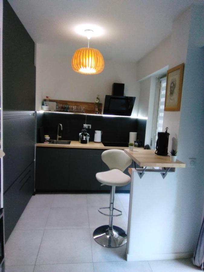 Nice- Gairaut - Jardin Prive- Grand F1 Lumineux-piscine Collective Apartamento *